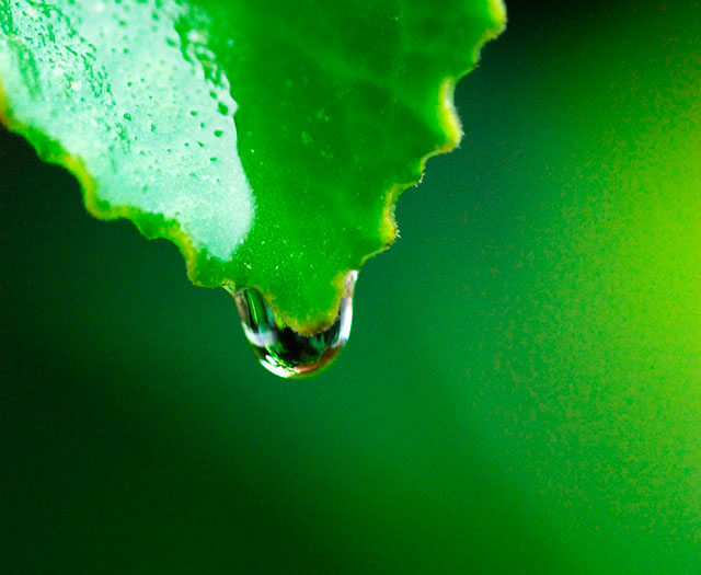 メンタルヘルス支援サービス